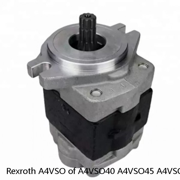 Rexroth A4VSO of A4VSO40 A4VSO45 A4VSO50 A4VSO56 A4VSO71 A4VSO125 A4VSO180 A4VSO250 Hydraulic Pump Parts