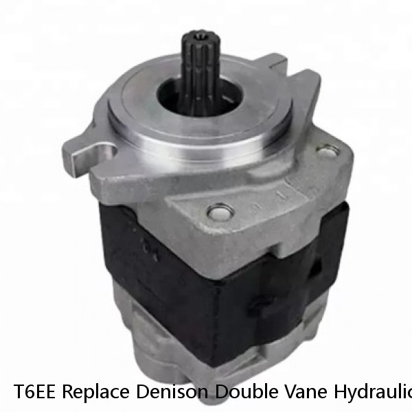 T6EE Replace Denison Double Vane Hydraulic Pneumatic Pump