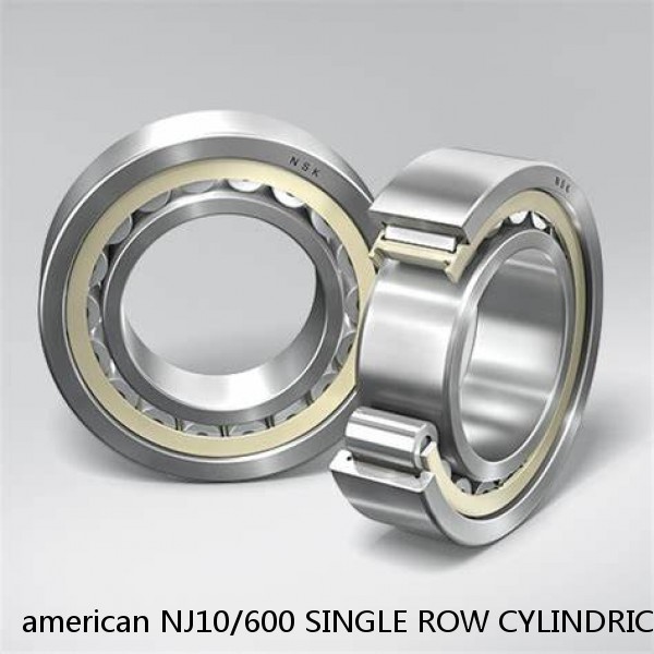 american NJ10/600 SINGLE ROW CYLINDRICAL ROLLER BEARING
