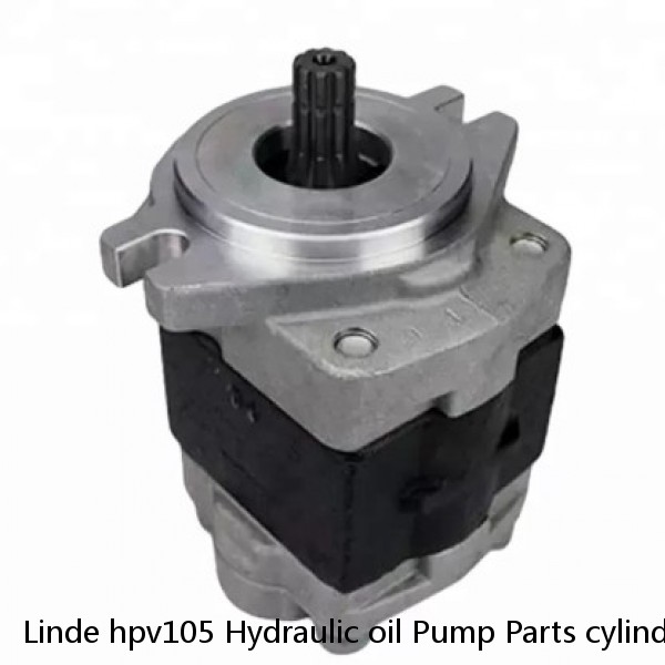 Linde hpv105 Hydraulic oil Pump Parts cylinder block/piston/valve plate #1 small image