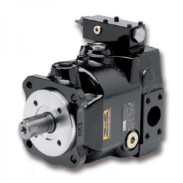 PAKER 50T-17-FR-1 Piston Pump #2 image